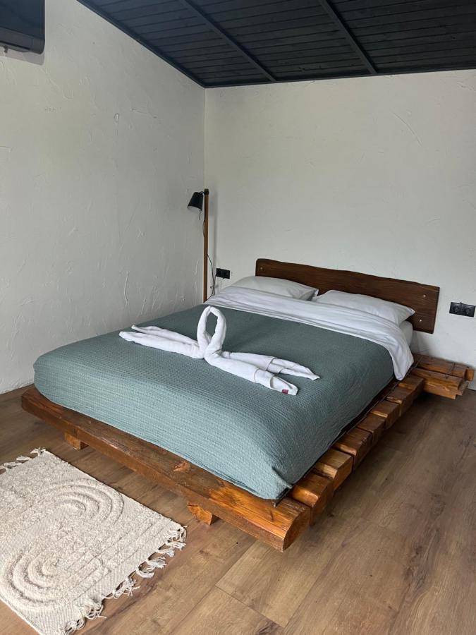 Casa Valeria Baisoara Villa ภายนอก รูปภาพ